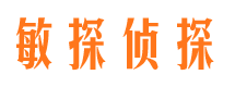 裕华市侦探调查公司